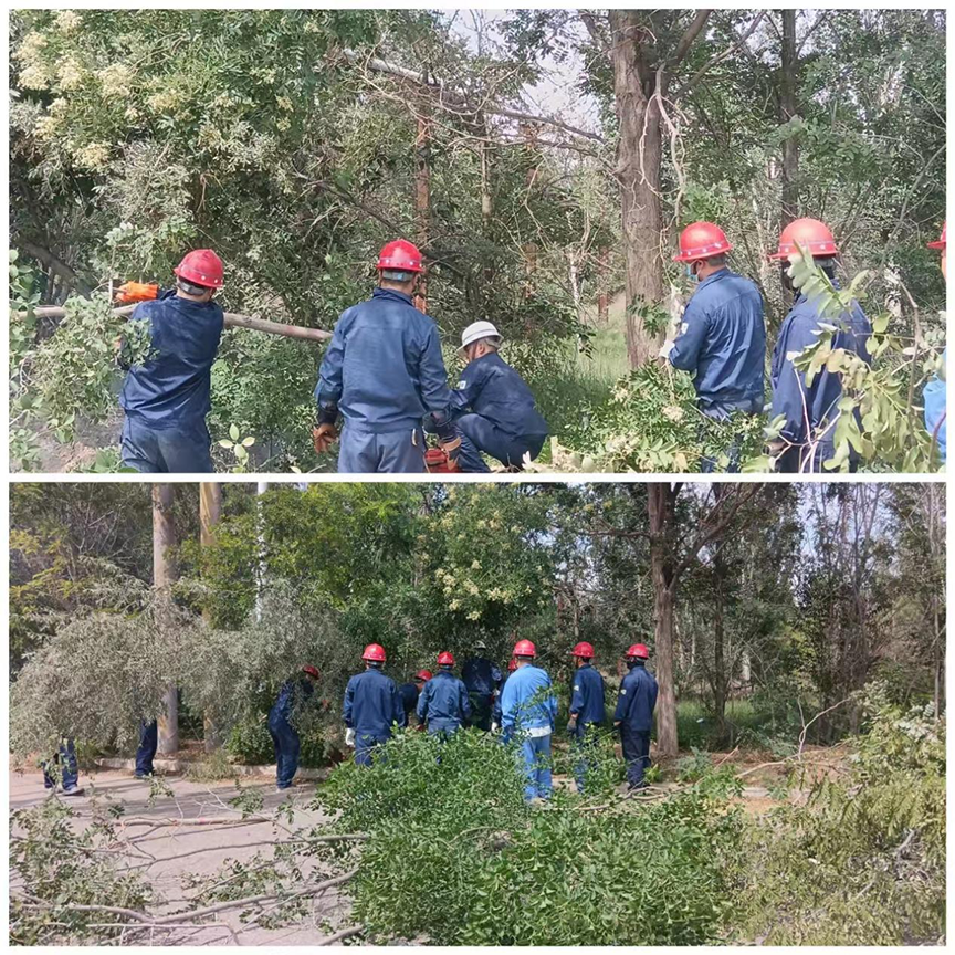 fba84e25-7686-11f0-b5bf-8cbd52c5c617.png fba84e25-7686-11f0-b5bf-8cbd52c5c617.png